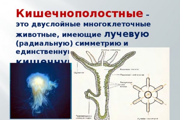 Кракен даркнет только через тор