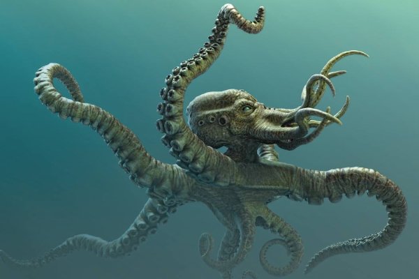 Kraken20 at
