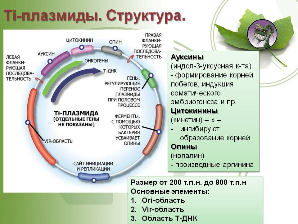 Кракен 2024 сайт