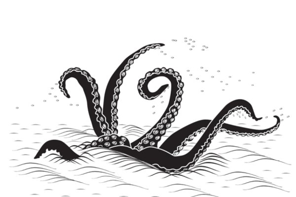 Kraken 19 at
