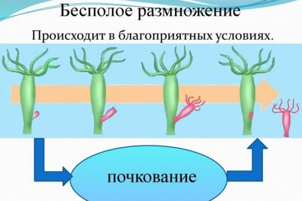 Кракен зеркало сегодня